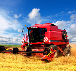 Obraz premium Combine harvesting wheat
