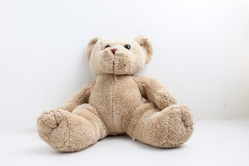 dolly bear on the white background