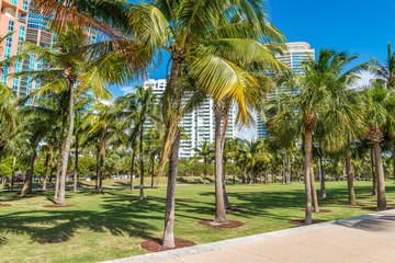 Obraz na płótnie Canvas Miami Beach