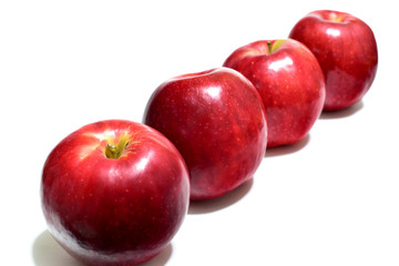 リンゴ　apple