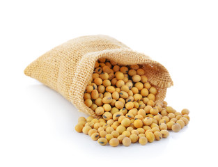 Soy in a bag Isolated on white backgraund.