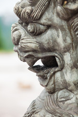 Stone carving lion