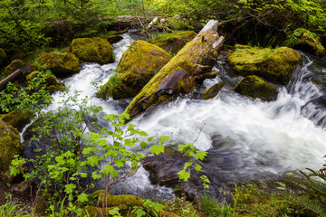 Fototapeta premium natural spring water