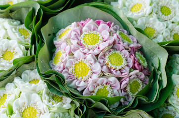 beautiful folding lotus wrapped in lotus leaf.