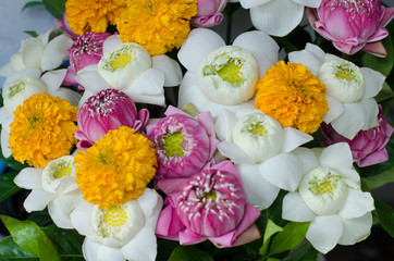 beautiful folding lotus