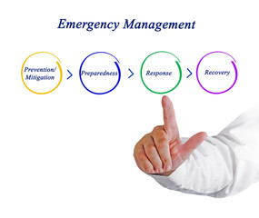 Emergency Management Cycle