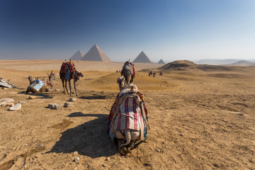 Egypt. Cairo - Giza. General view of pyramids