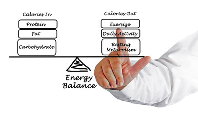 Balance between Energy intake and Energy expenditure