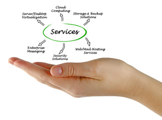 IT  Services