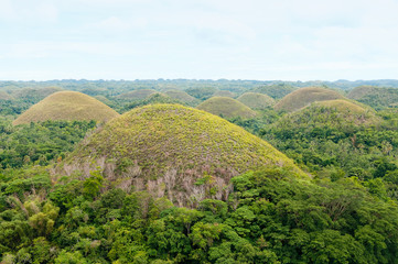 Bohol Island, Philippines - The Chocolate Hills - unique geological formation. They are covered in green grass that turns brown during the dry season. It is a famous tourist attraction