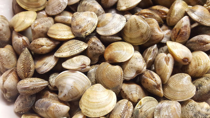 vongole 1