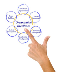Diagram of Organization Excellence