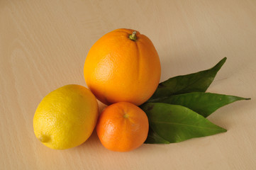 frutta invernale, un limone, un'arancia, una clementina e alcune foglie verdi, luce solare