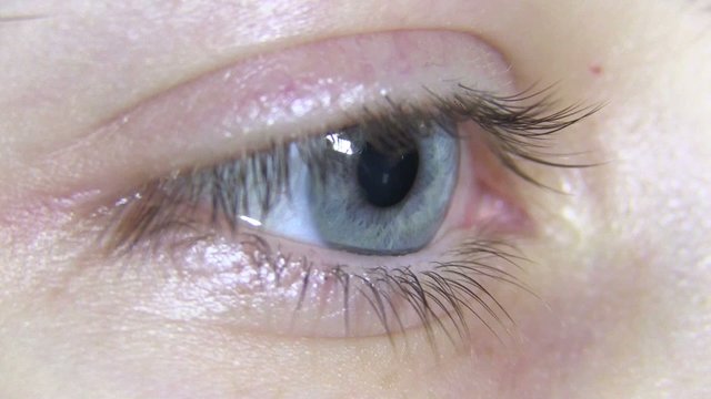 Macro Close-up eye Beauty blinking