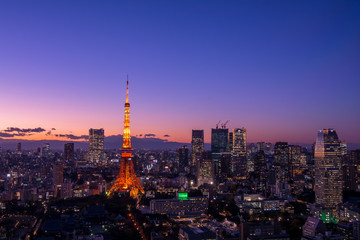 Panoramic view at Tokyo with Tokyo Tower