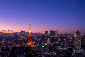 Fotobehang Panoramic view at Tokyo with Tokyo Tower © hit1912