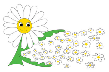 Fototapeta na wymiar Сaring daisy. Simple vector drawing
