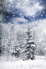 Obraz premium Christmas background with snowy fir trees