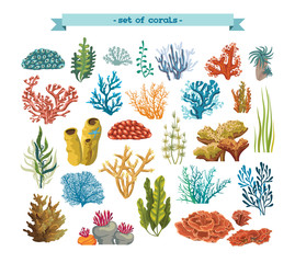 Set of colorful corals and algae.