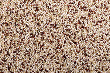 Mixed  of red and white quinoa