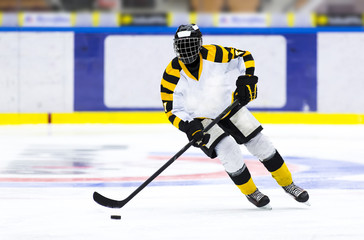 Naklejka premium Ice hockey player