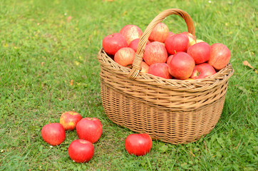 Wicker basket full of red apples