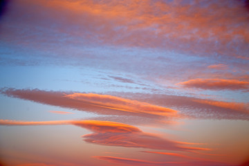  in the colored sky white soft  and   background