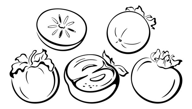 Fruits, Persimmon Black Pictograms