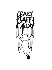 crazy cat lady crazy horror creepy monster cat bad blood scrape scratch