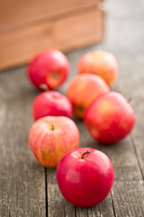 red autumn apples