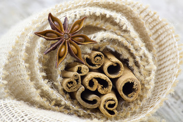 cinnamon sticks and anise