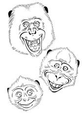Obraz premium Funky Monkey, vector illustration
