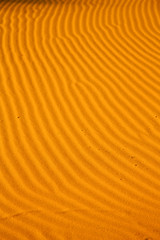   brown sand   desert