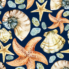 watercolor seashell pattern