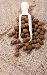 Grains of allspice on a canvas