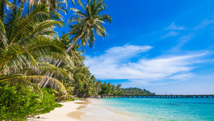 Naklejka na ściany i meble tropical beach. sea and coconut palm. Landscape of paradise tr