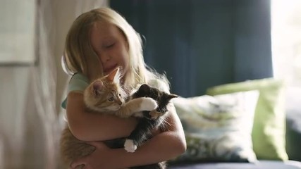 A little girl hugging two kittens in her arms and kissing them on the head