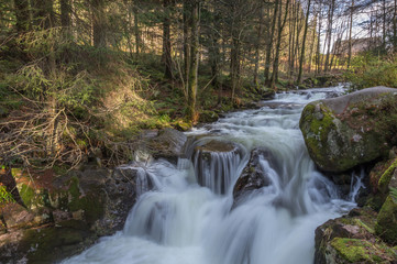 rivière des Vosges