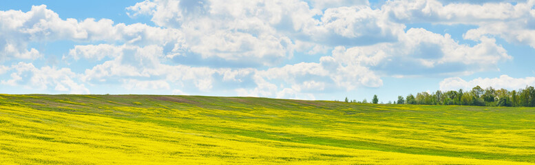 Rape field