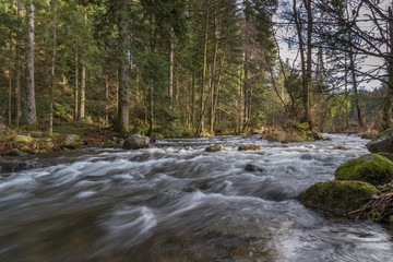 rivière des Vosges