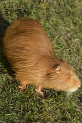 Czech Republic_Prague