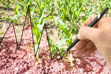 Hand write a graph in the background of a cultivated field - concept image