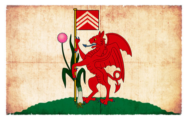 Grunge Flagge Cardiff (Wales)