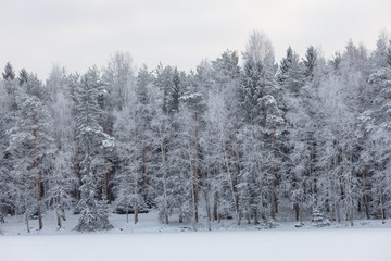 Obraz na płótnie Canvas Winter lake scenery in finland