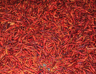 Naklejka premium Bulk chili pepper. pattern