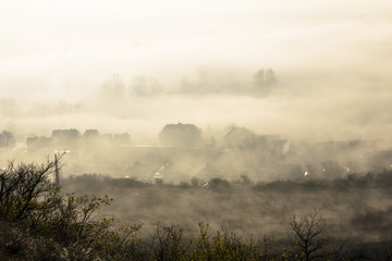 in the autumn in fog
