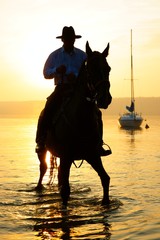 Rider on a horse at sunrise