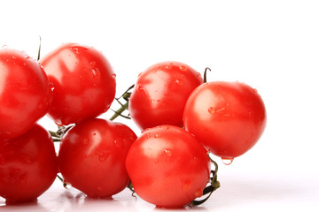 cherry tomatoes on a branch isolated on white background