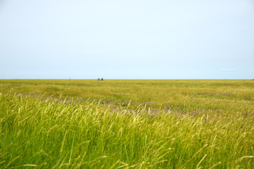 Fahrradfahrer an der Nordsee 