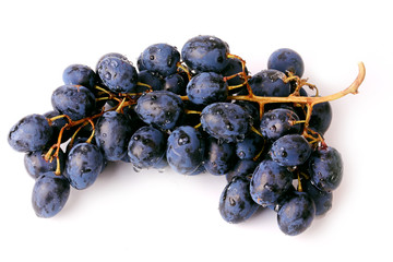black grapes isolated on a white background